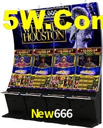 VIP Casino New666